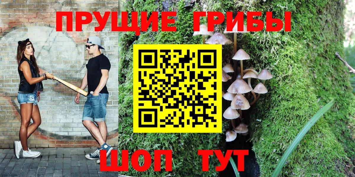 Галлюциногенные грибы MAGIC MUSHROOMS  наркота  Рубцовск  Вход с VPN 