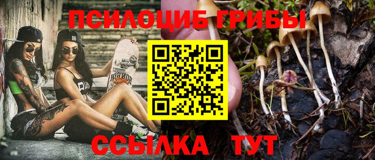 Псилоцибиновые грибы ЛСД Рубцовск